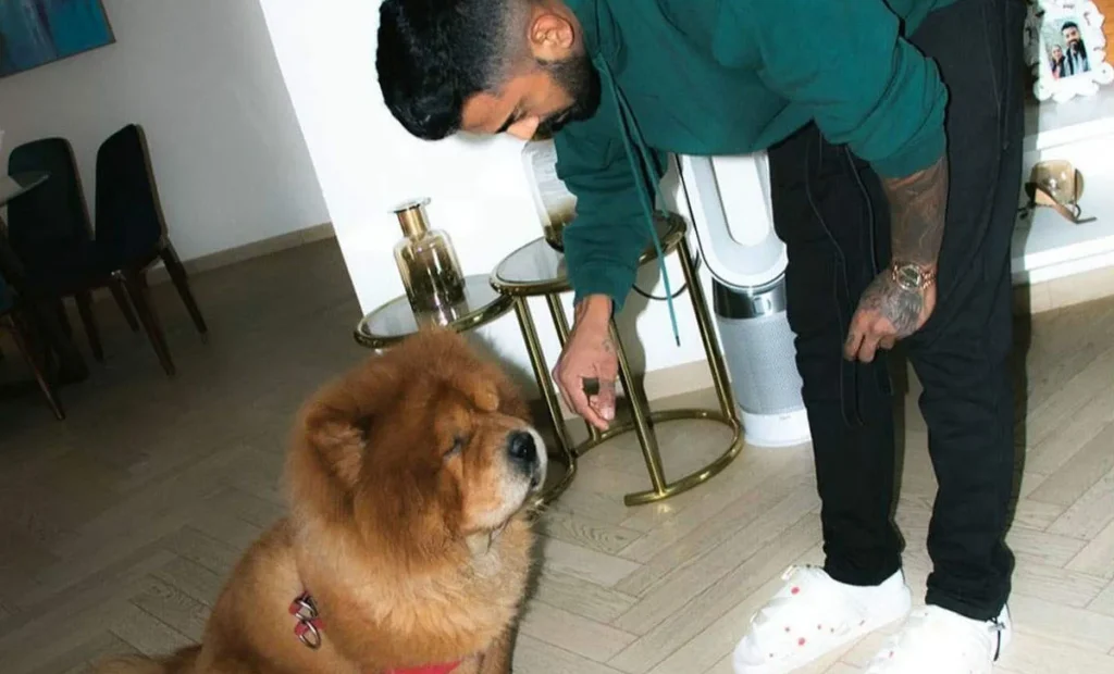 kl rahul dog breed